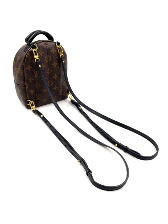 Louis Vuitton Palm Springs Backpack Mini Monogram Correspondence Leather Brown main image 13